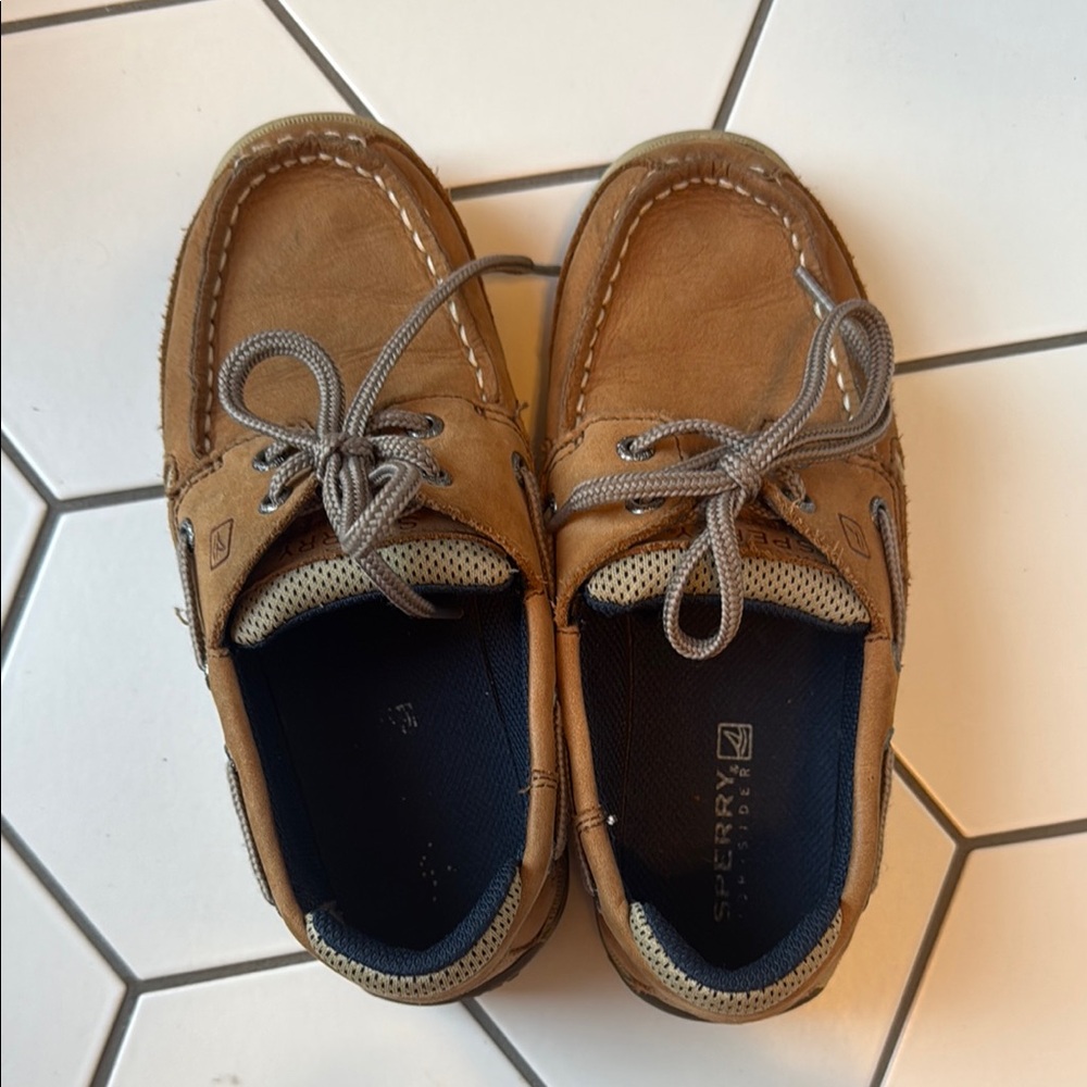 Sperry Brown Moccasin Boat Shoes